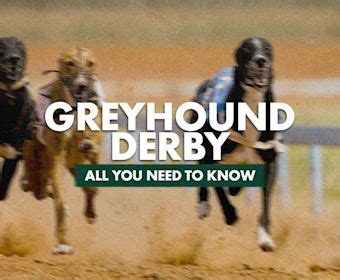 bet365 greyhound|latest greyhound betting.
